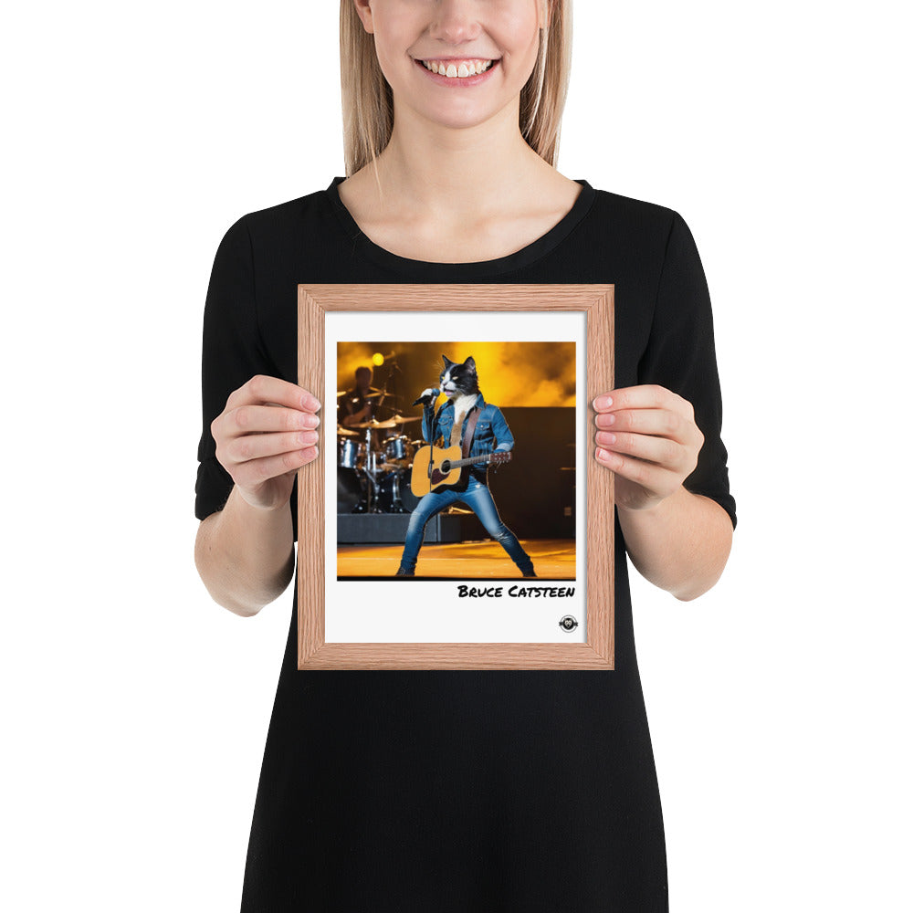 Bruce Catsteen Framed poster