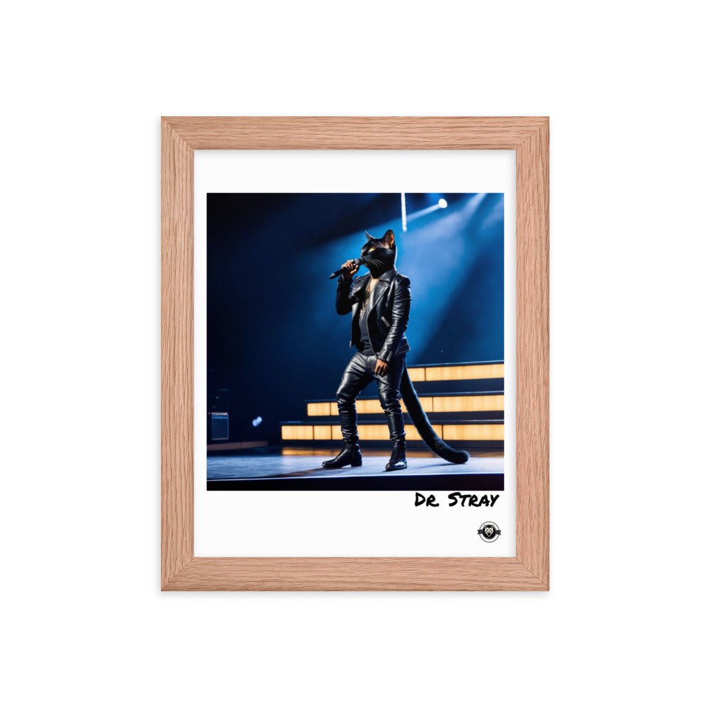 Dr. Stray Framed poster